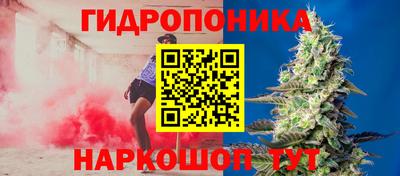 скорость Аша