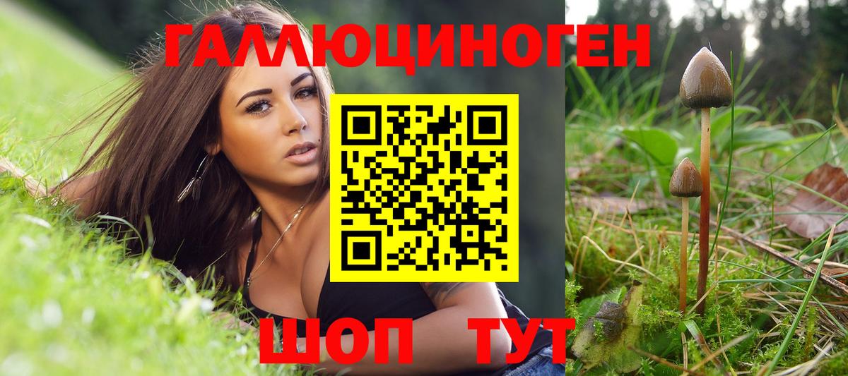 Галлюциногенные грибы MAGIC MUSHROOMS  Псилоцибиновые грибы GOLDEN TEACHER  Когалым  Вход с VPN 